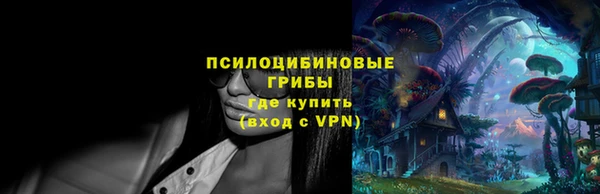 прущая мука Новодвинск