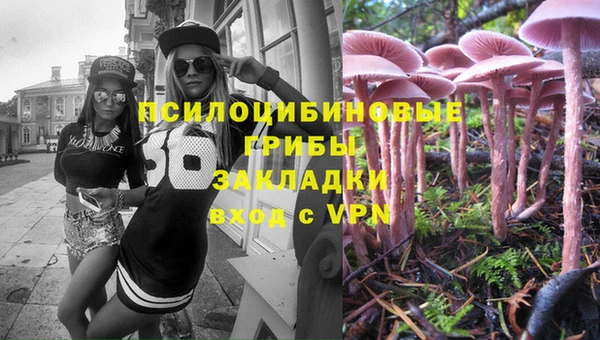 таблы Новозыбков