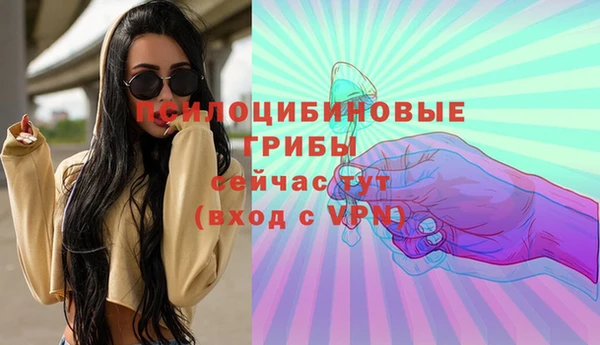прущая мука Новодвинск