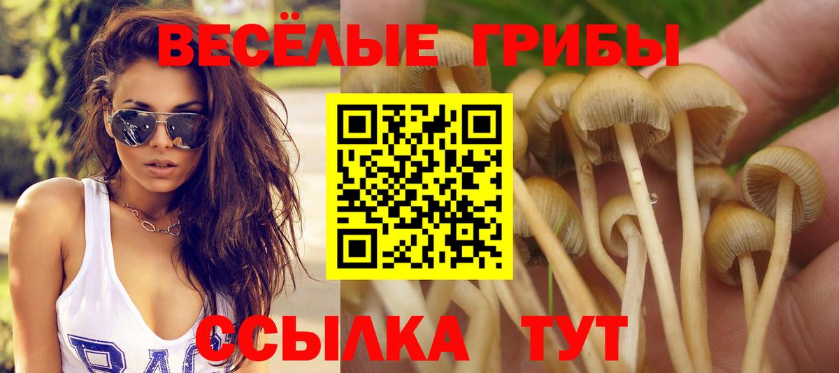 Галлюциногенные грибы Psilocybe  Вход с VPN  Сарапул 